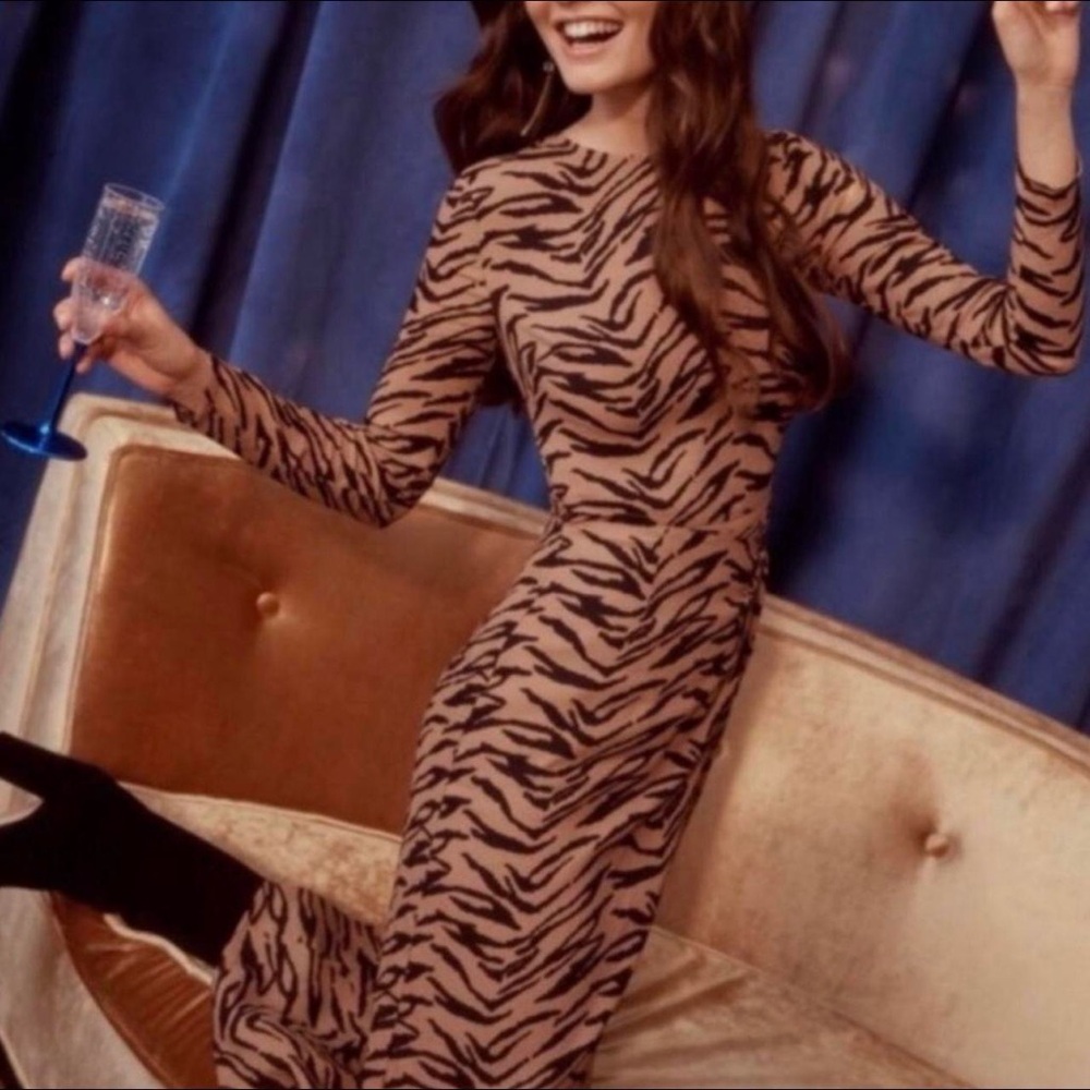 Reformation Maurita Tiger Stripe Print Dress - Picture 3 of 12